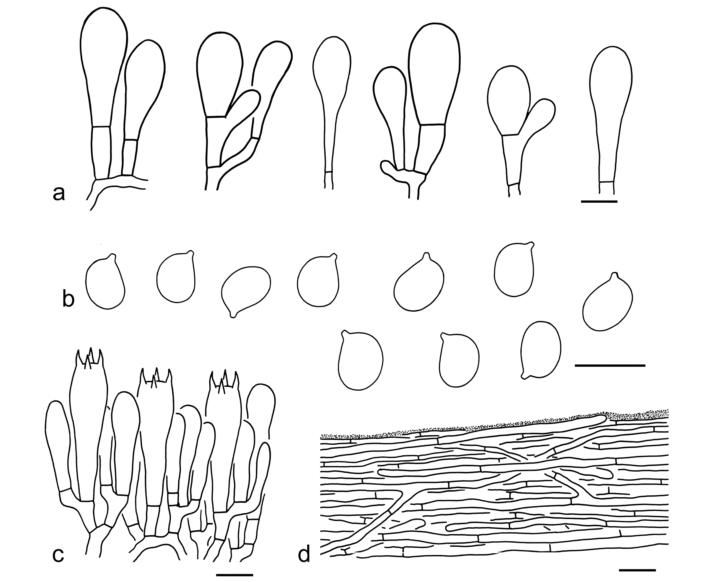 Figure 30